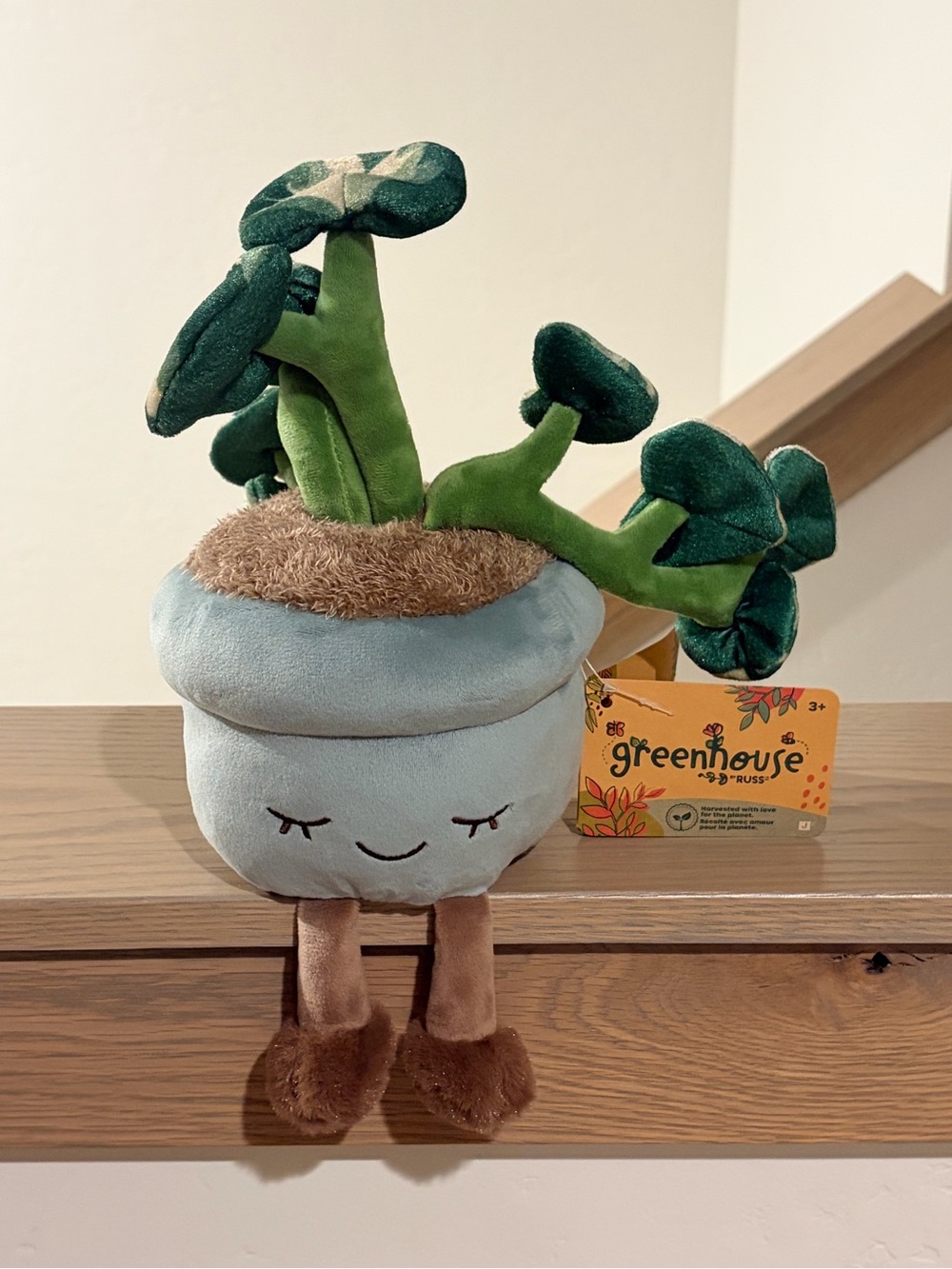 🌱 Greenhouse By Russ Chloe The Pothos Plant Plush Potted Plant 12” BNWT